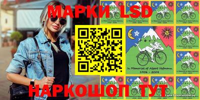 стаф Кандалакша