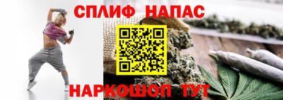 гашик Канаш