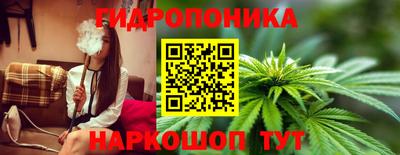 стаф Кандалакша