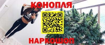 стаф Кандалакша