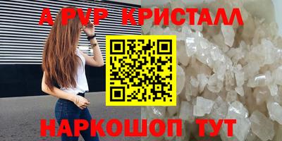 стаф Кандалакша