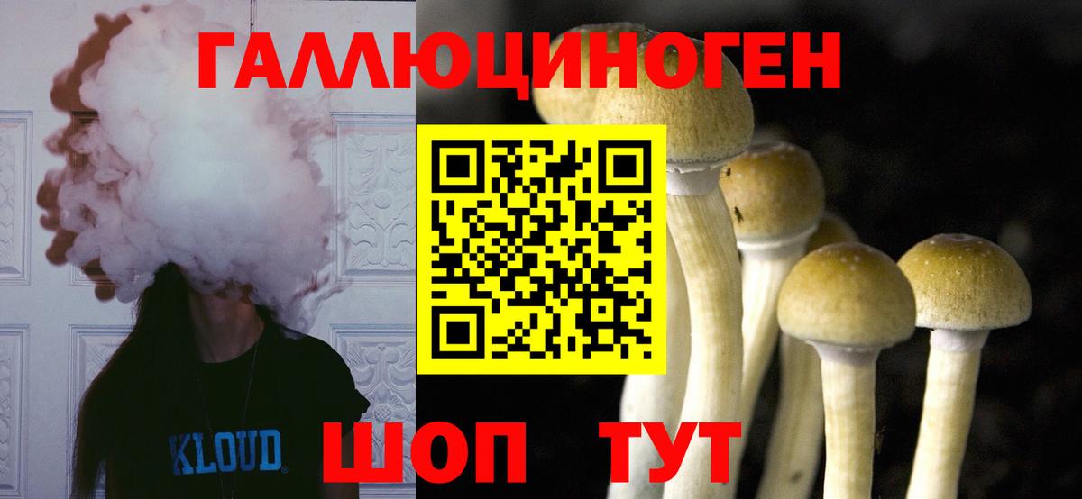 Урюпинск  цена наркотик  Вход с VPN  Псилоцибиновые грибы Cubensis  Псилоцибиновые грибы мухоморы 